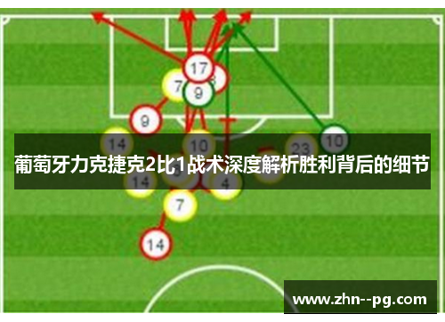 葡萄牙力克捷克2比1战术深度解析胜利背后的细节