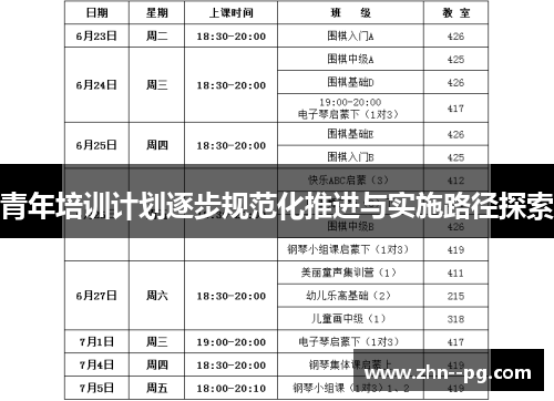 青年培训计划逐步规范化推进与实施路径探索