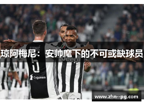 琼阿梅尼：安帅麾下的不可或缺球员