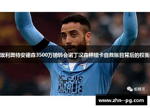 埃利奥特安德森3500万镑转会诺丁汉森林纽卡自救账目背后的权衡